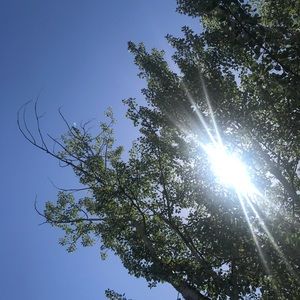 Meet your Posher, Katya